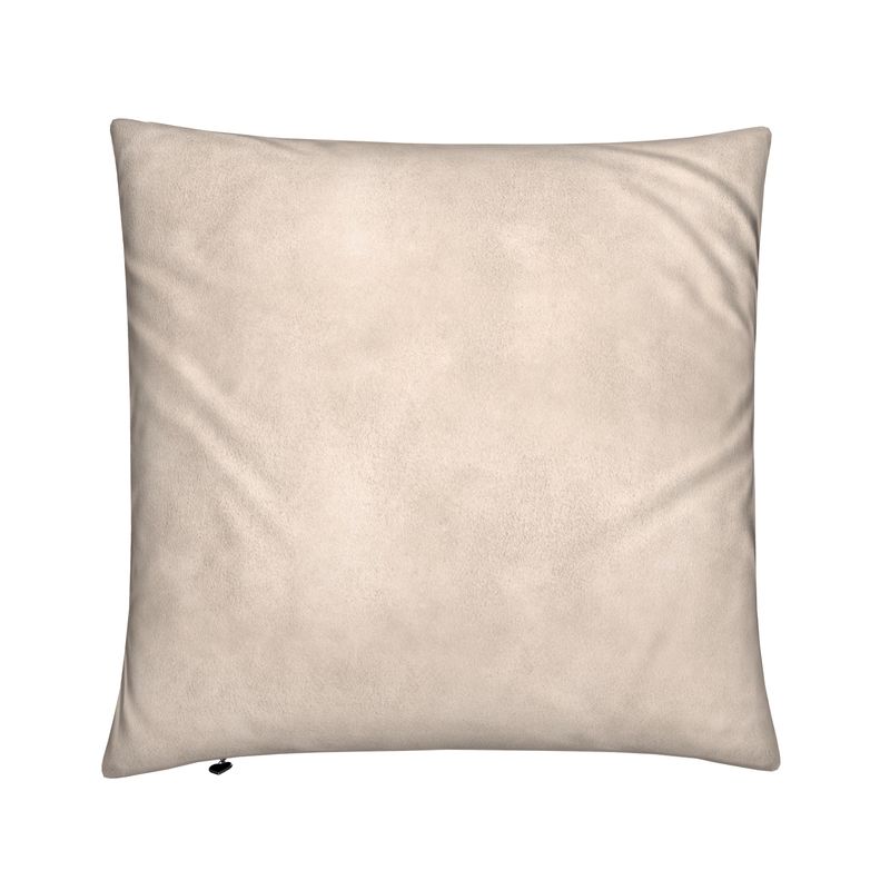 Cushion or small Pillow?