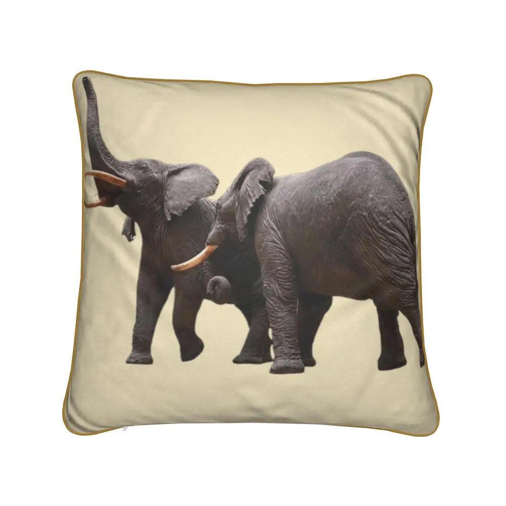 Double sided Cushions from Chicago Field Museum Icons - Cushions